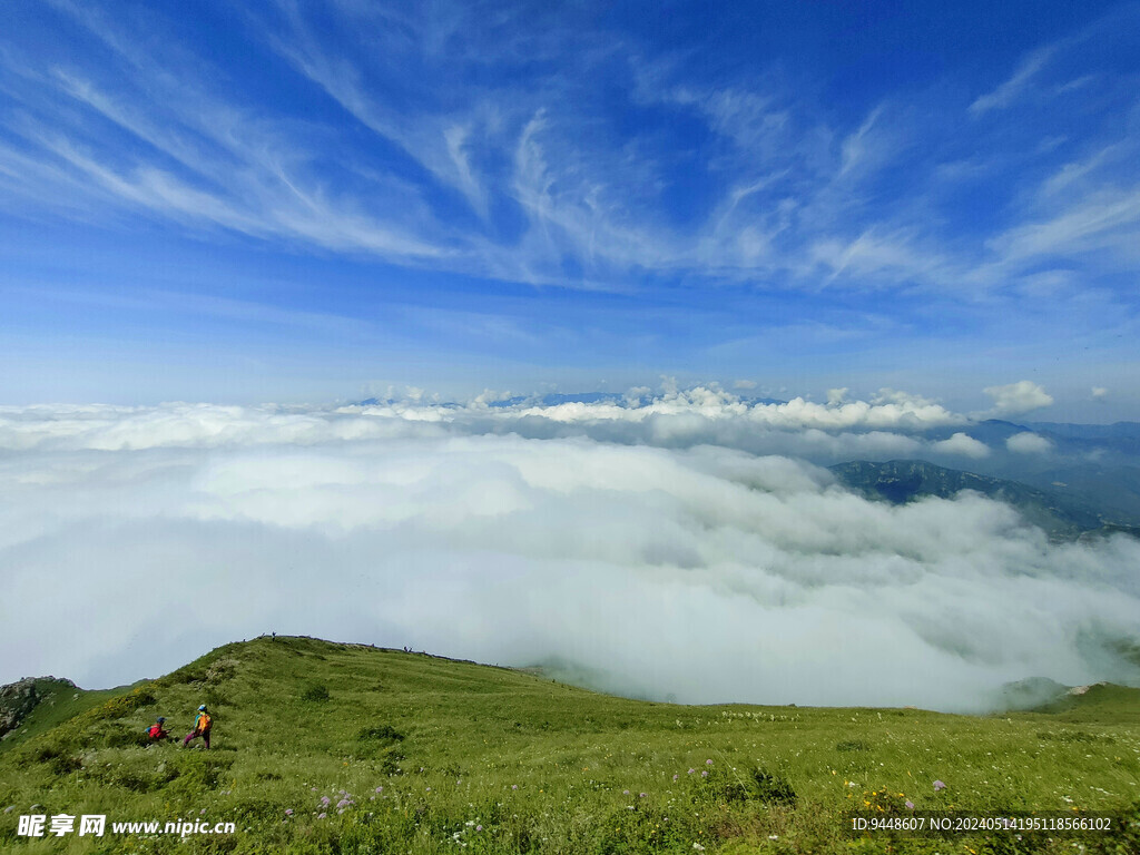 高山云海