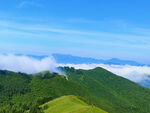 高山云海
