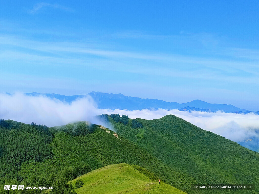 高山云海