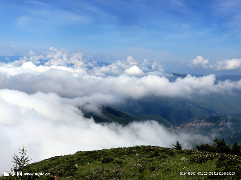 高山云海