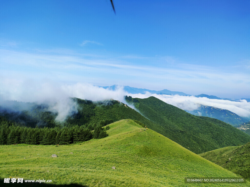 高山云海