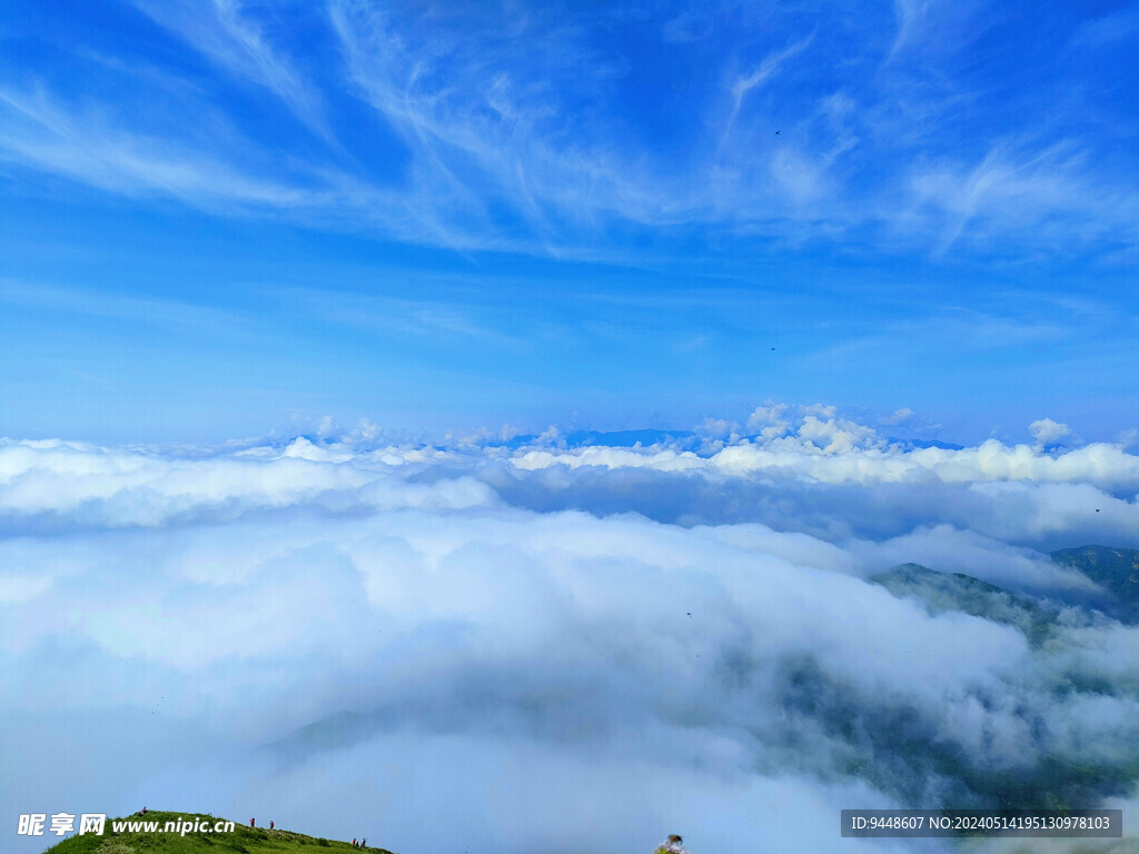 高山云海