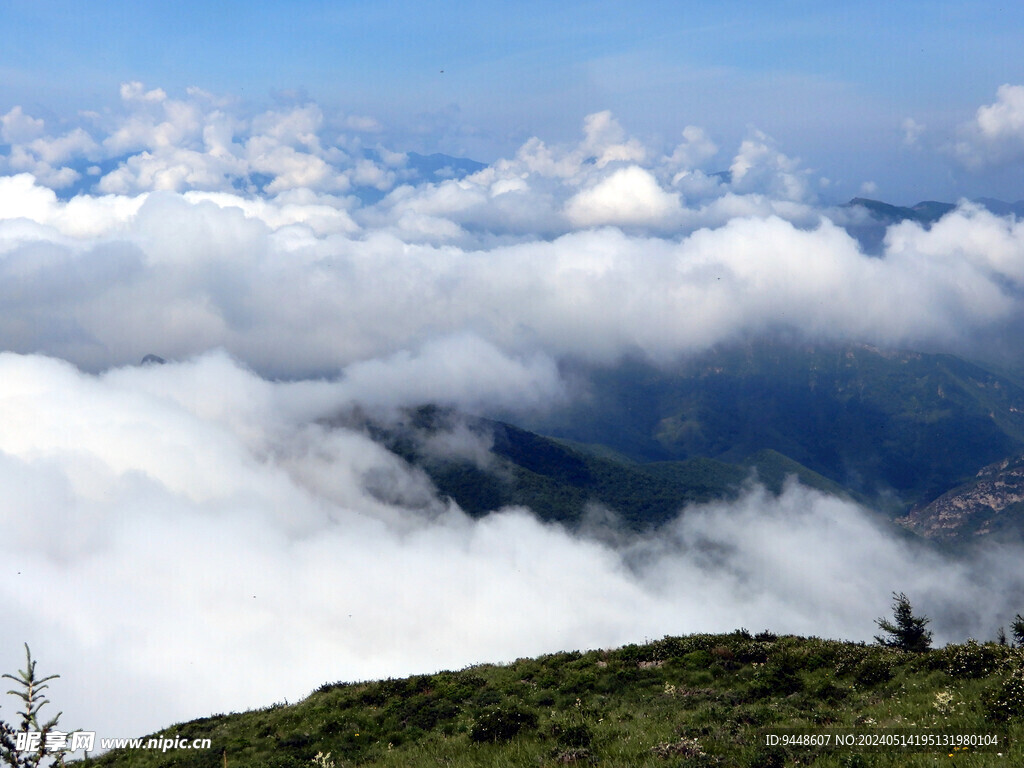 高山云海