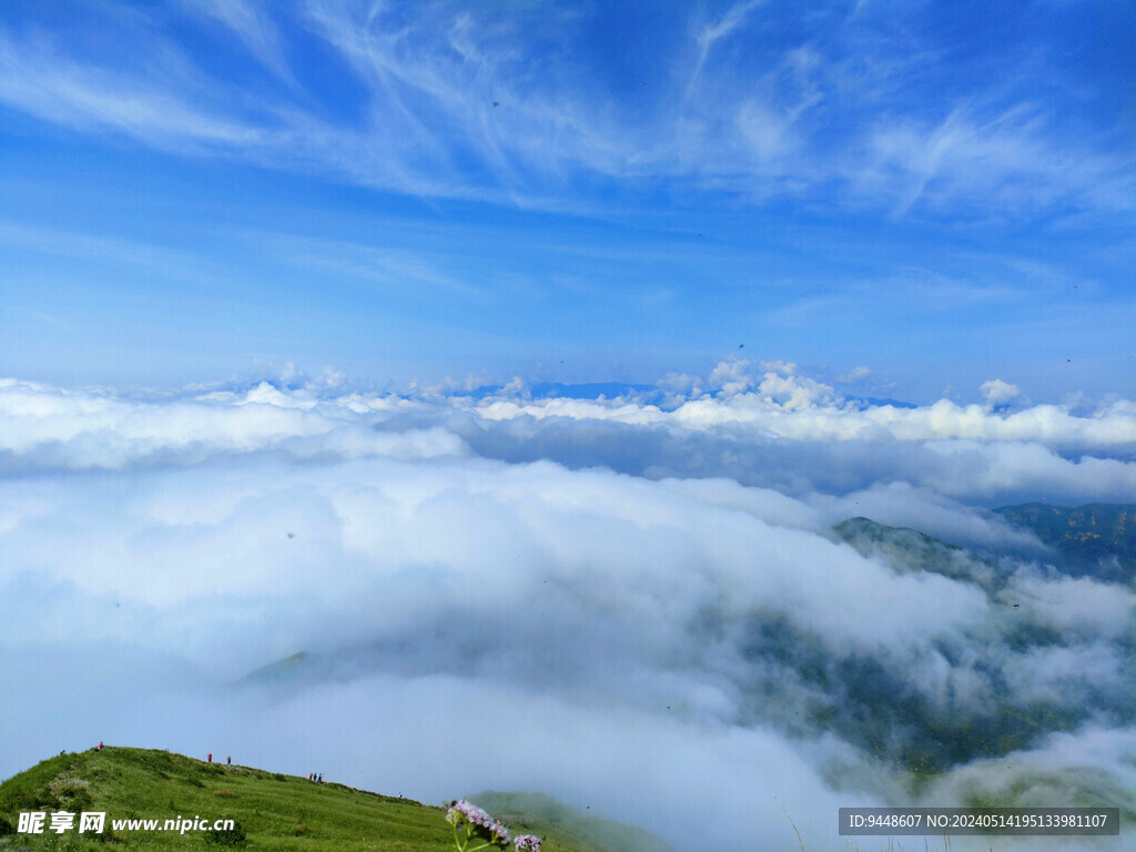 高山云海