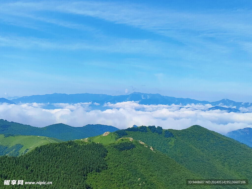 高山云海