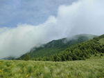 高山云海