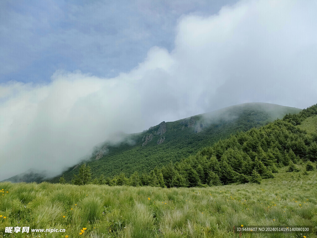 高山云海