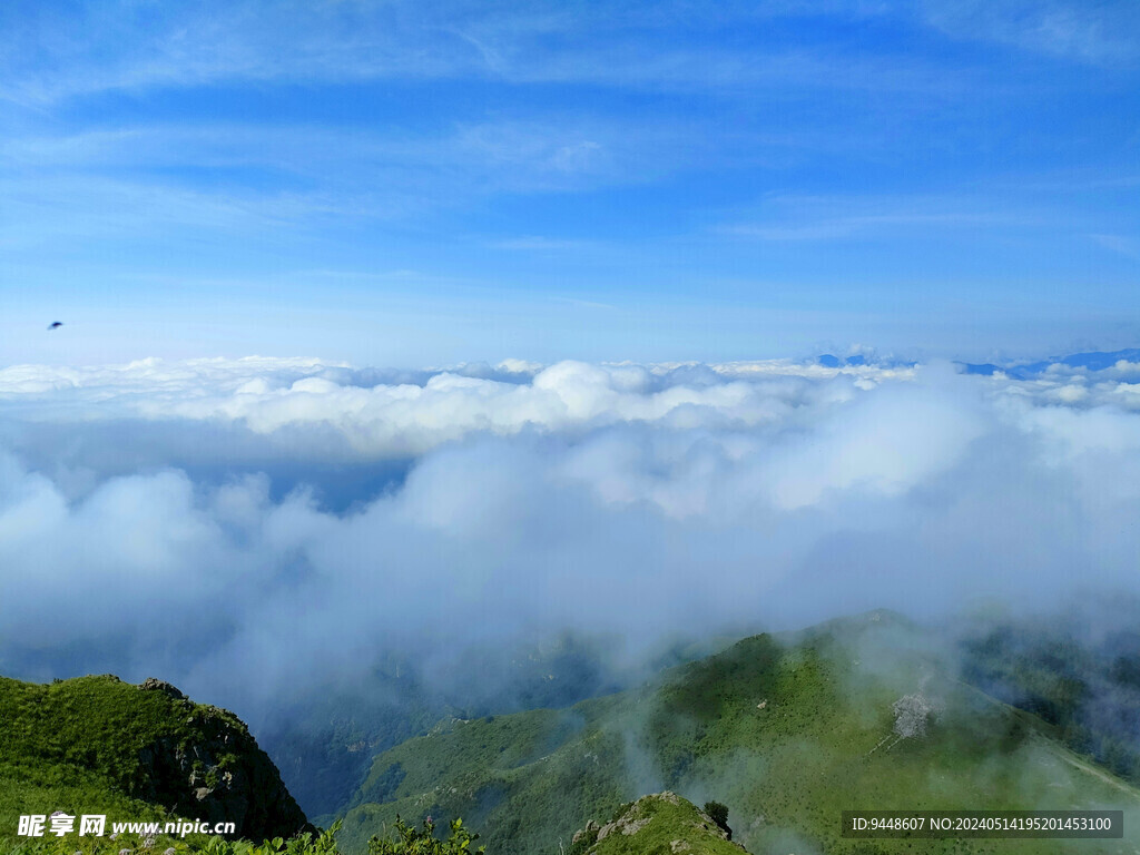 高山云海