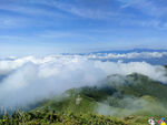 高山云海