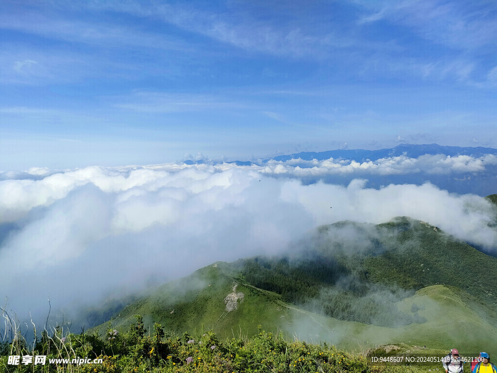 高山云海