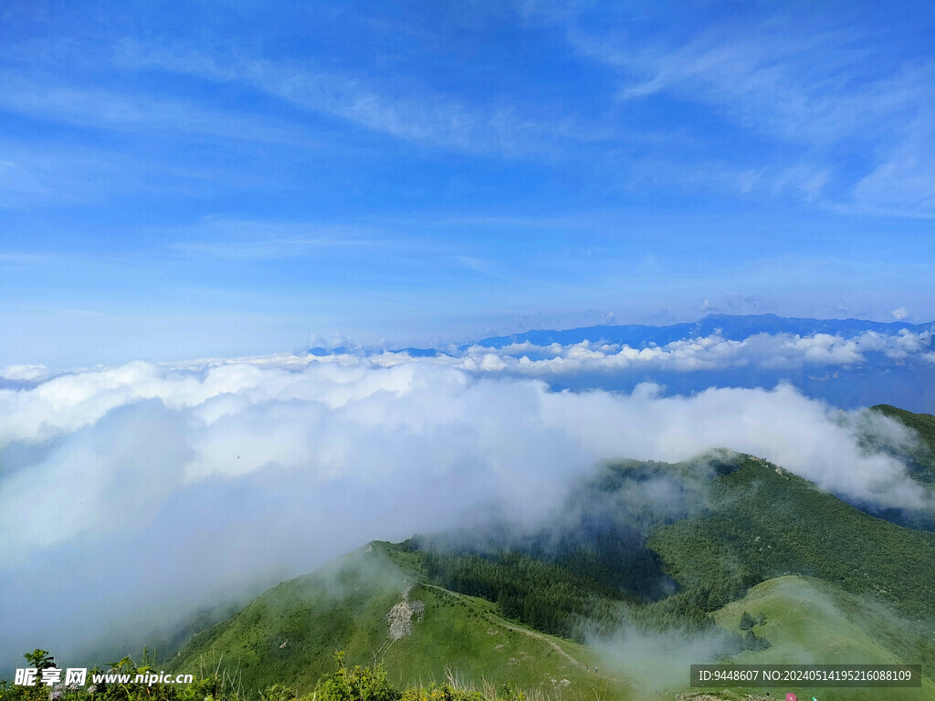 高山云海