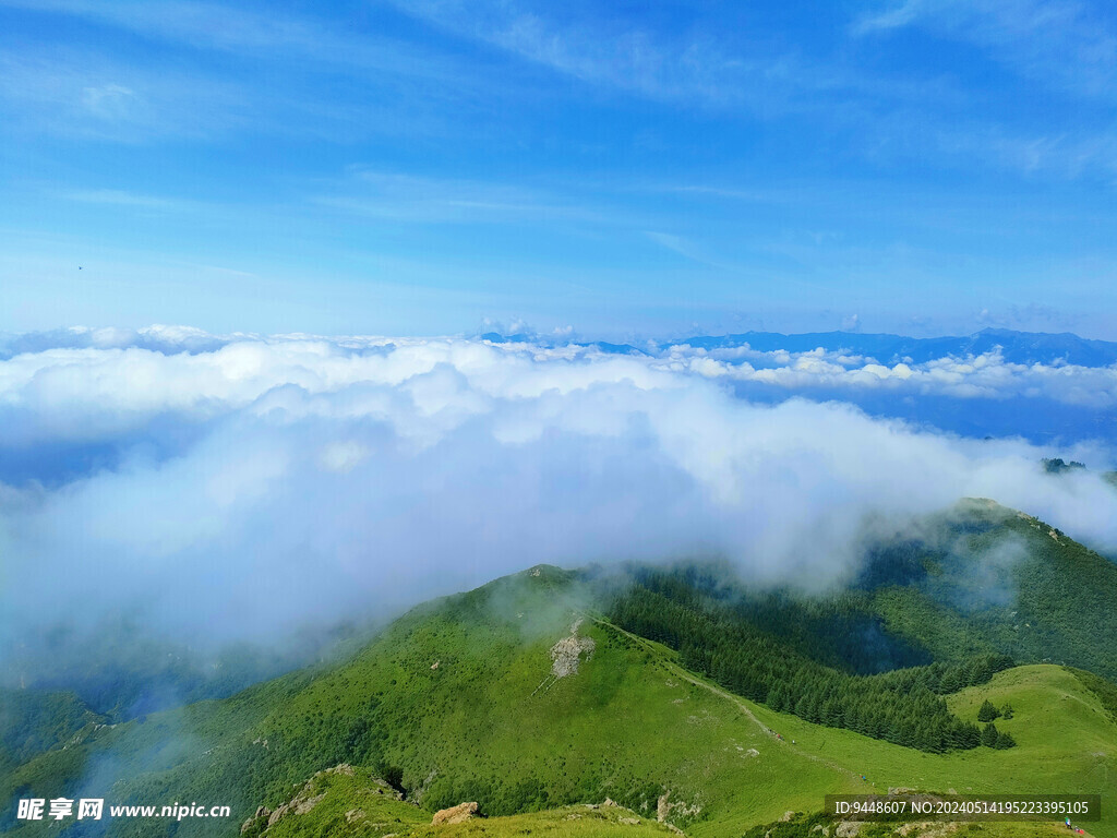 高山云海