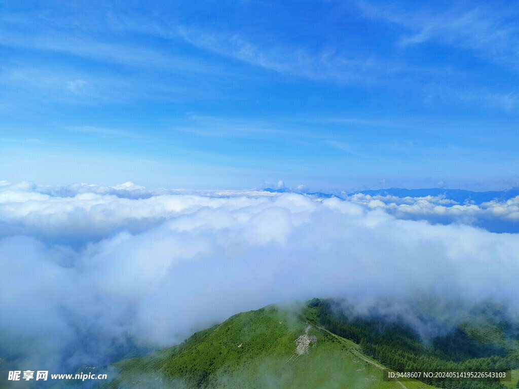 高山云海