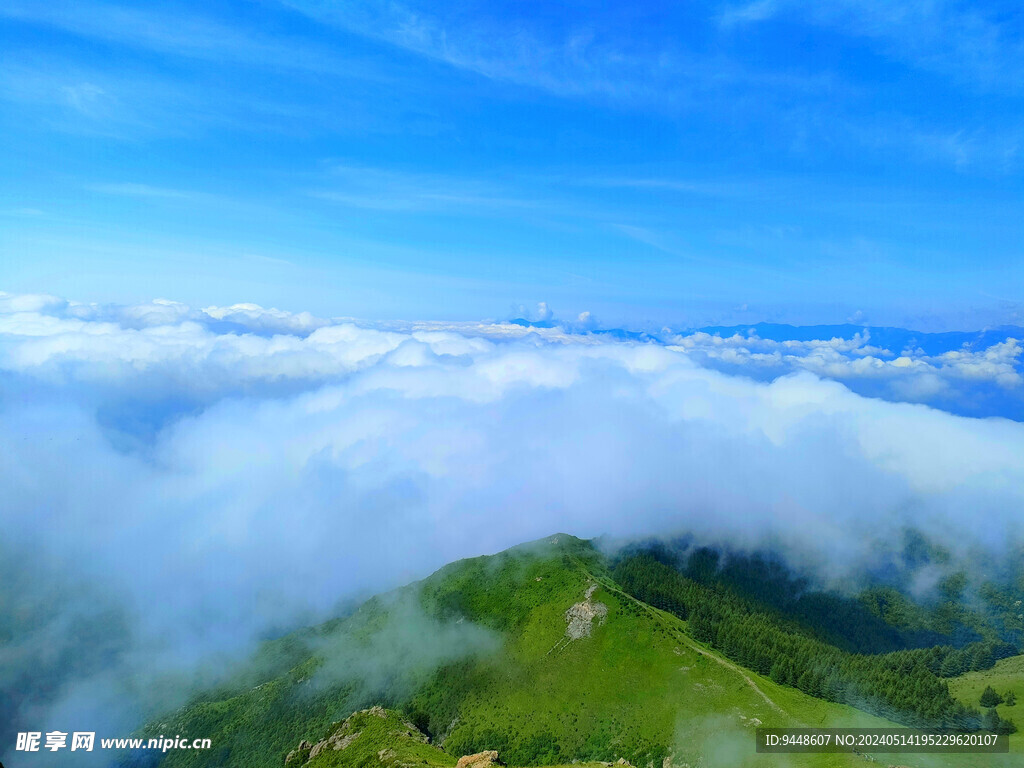 高山云海