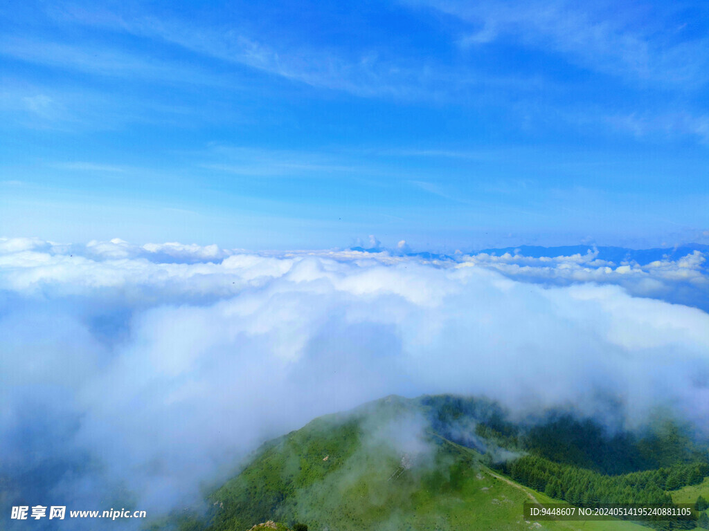 高山云海