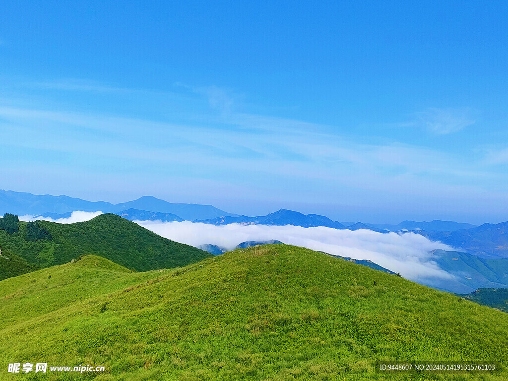 高山云海