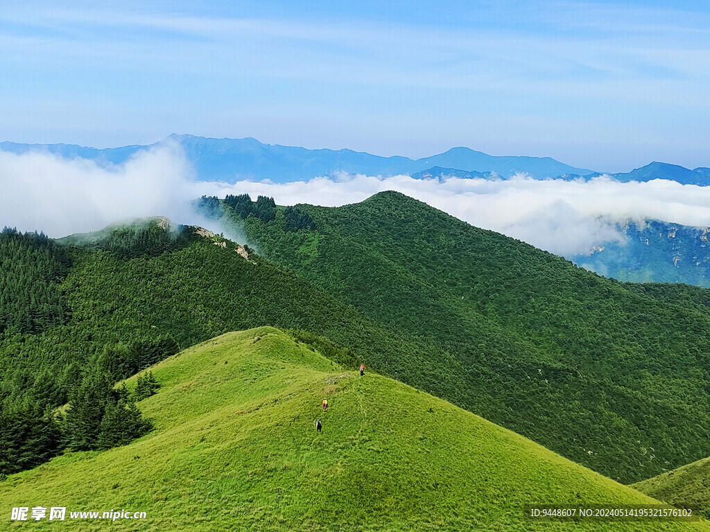 高山云海