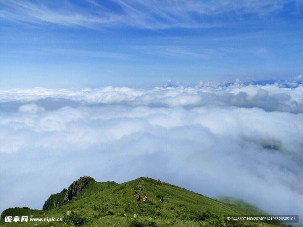 高山云海