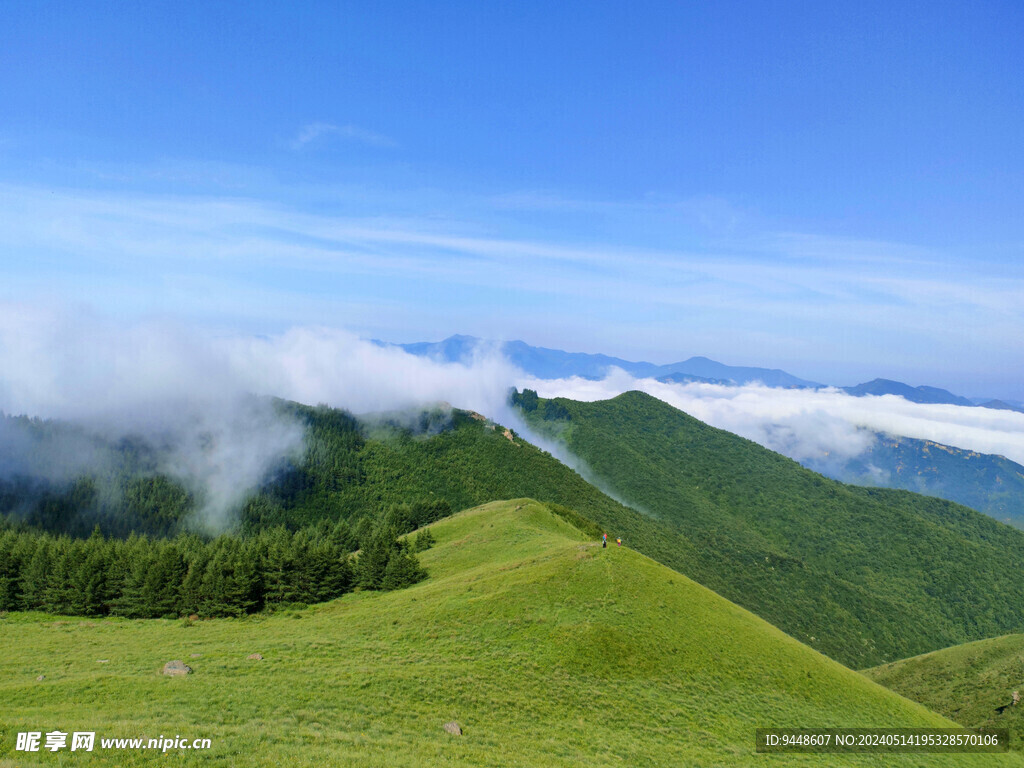 高山云海