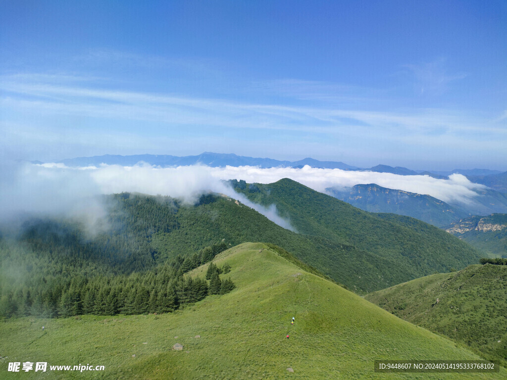 高山云海