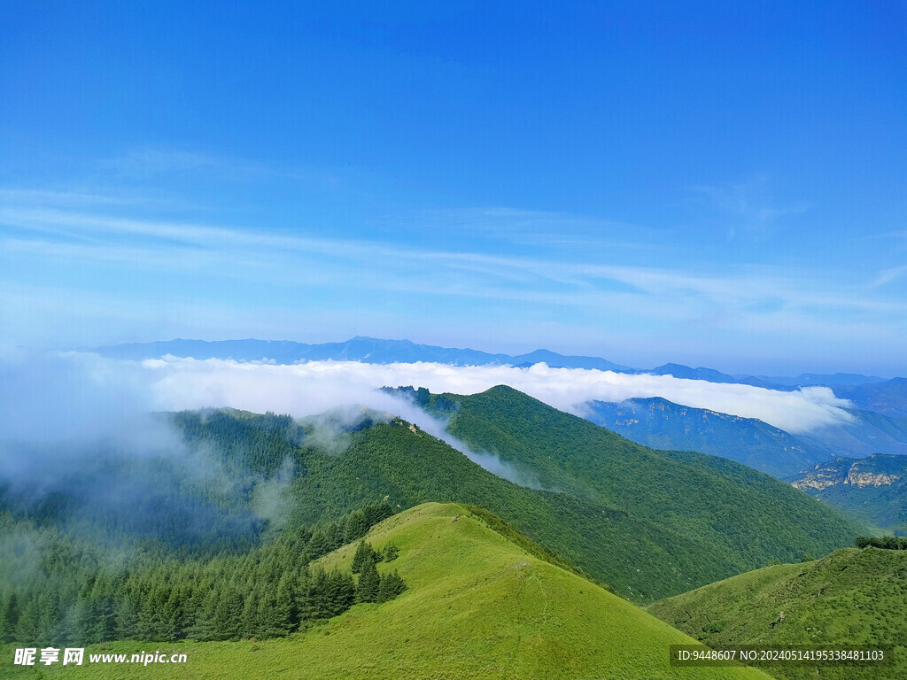 高山云海