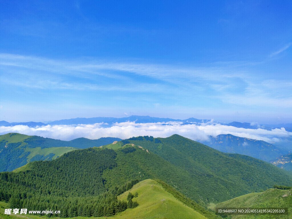 高山云海