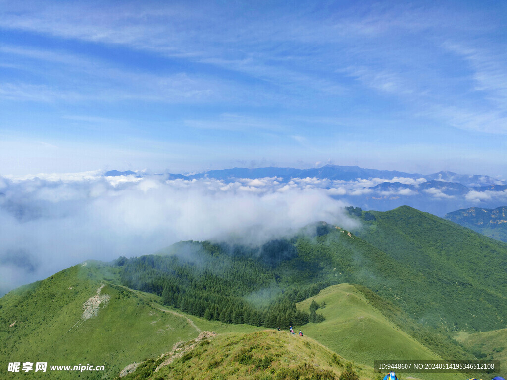 高山云海