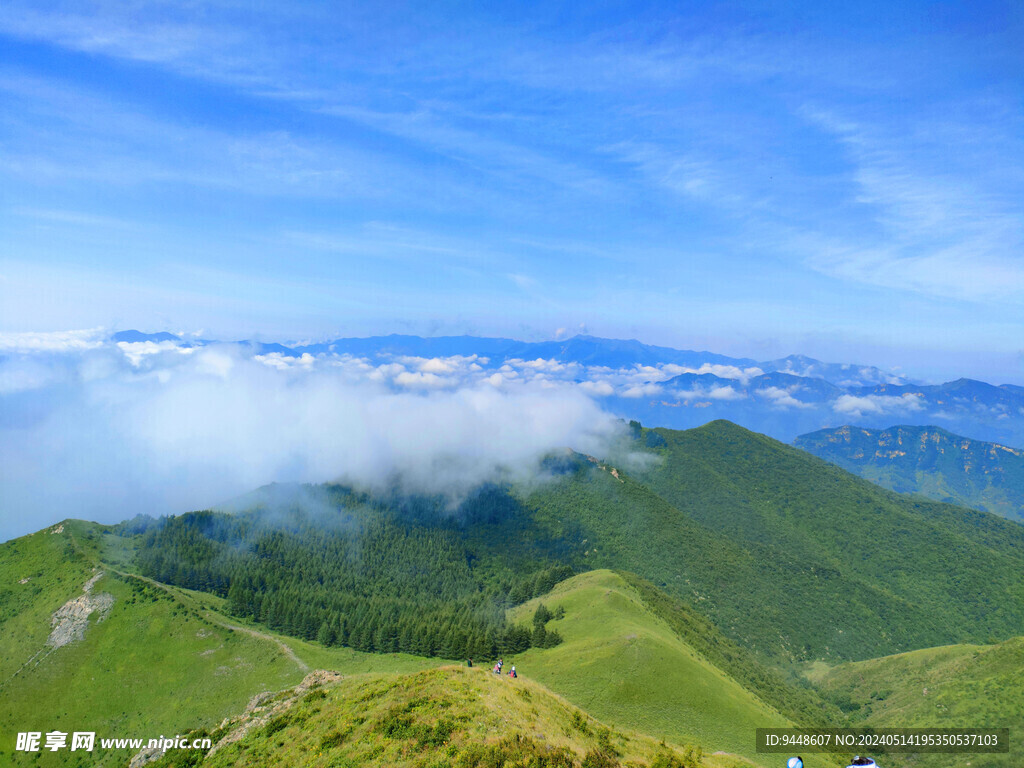 高山云海