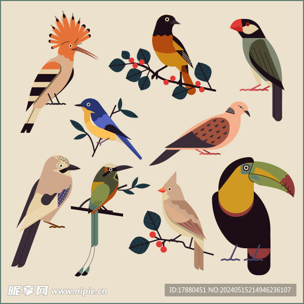 彩色鸟类物种