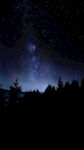 森林夜空