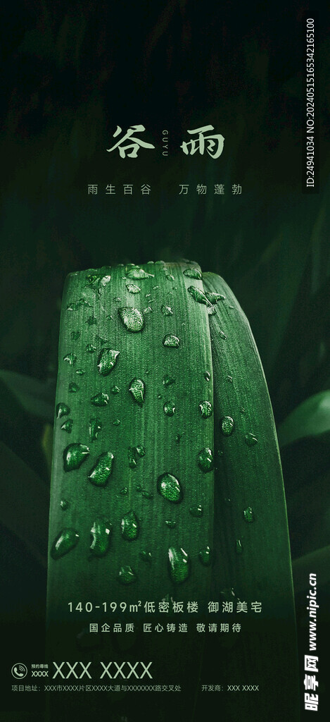 谷雨节气海报