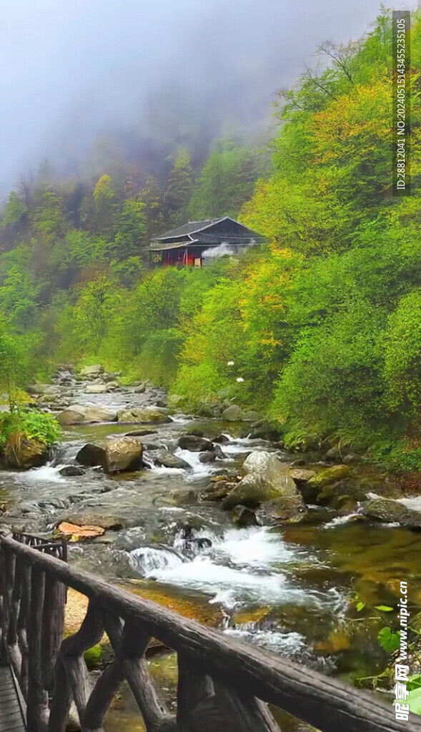 高清唯美风景拍摄竖屏素材