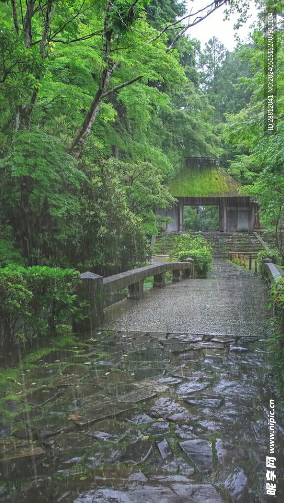 高清唯美风景拍摄竖屏素材