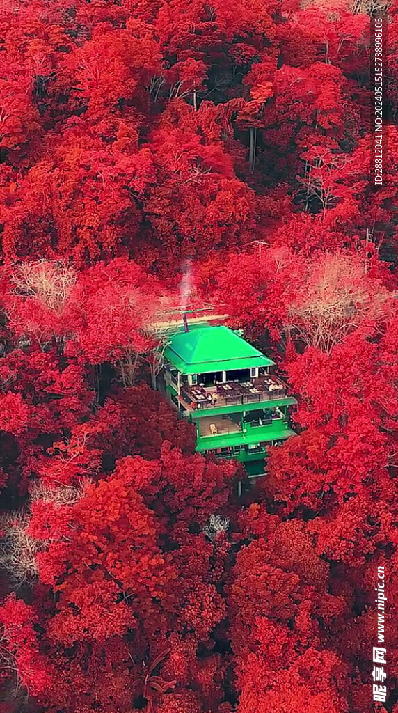 高清唯美风景拍摄竖屏素材