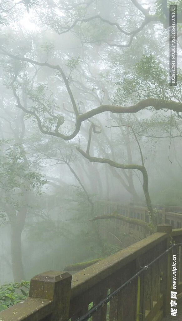 高清唯美风景拍摄竖屏素材