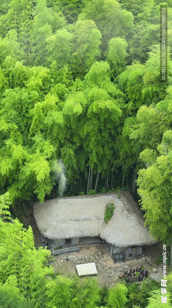 高清唯美风景拍摄竖屏素材