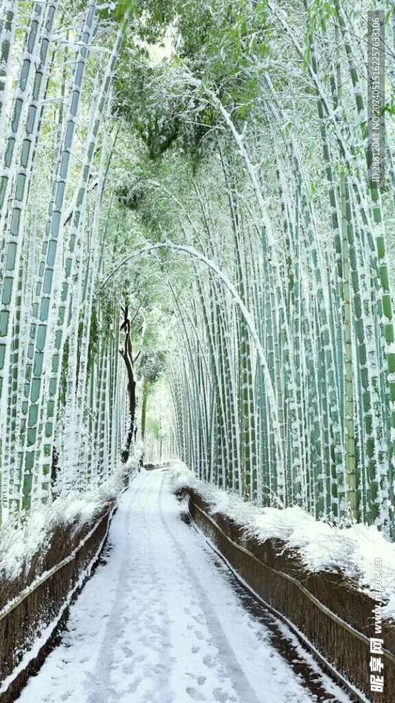 高清唯美风景拍摄竖屏素材