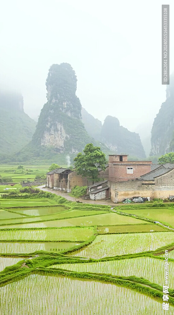 高清唯美风景拍摄竖屏素材