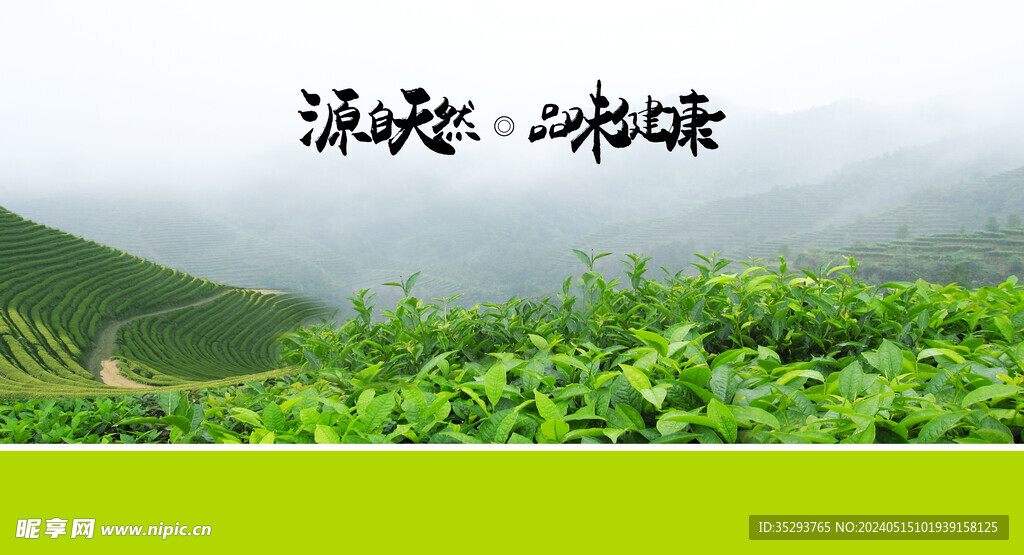  茶文化