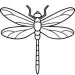 蜻蜓线稿图