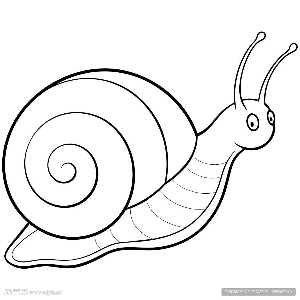 蜗牛线稿图