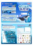海洋馆 海洋世界 折页