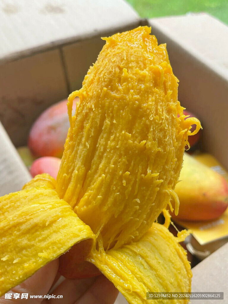 芒果