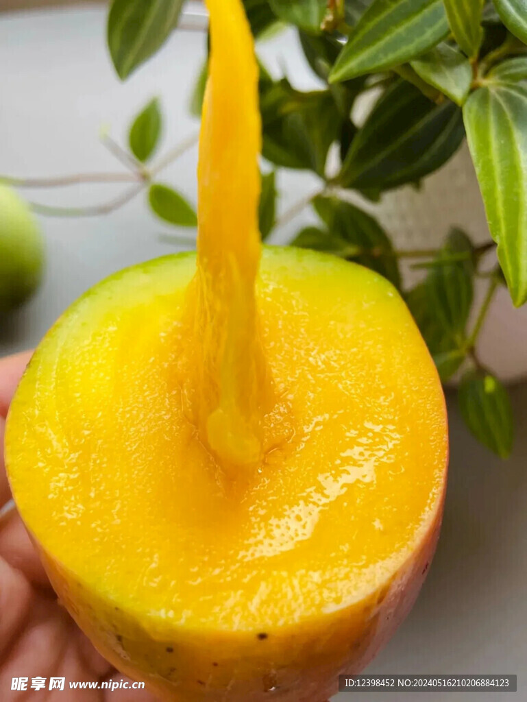 芒果