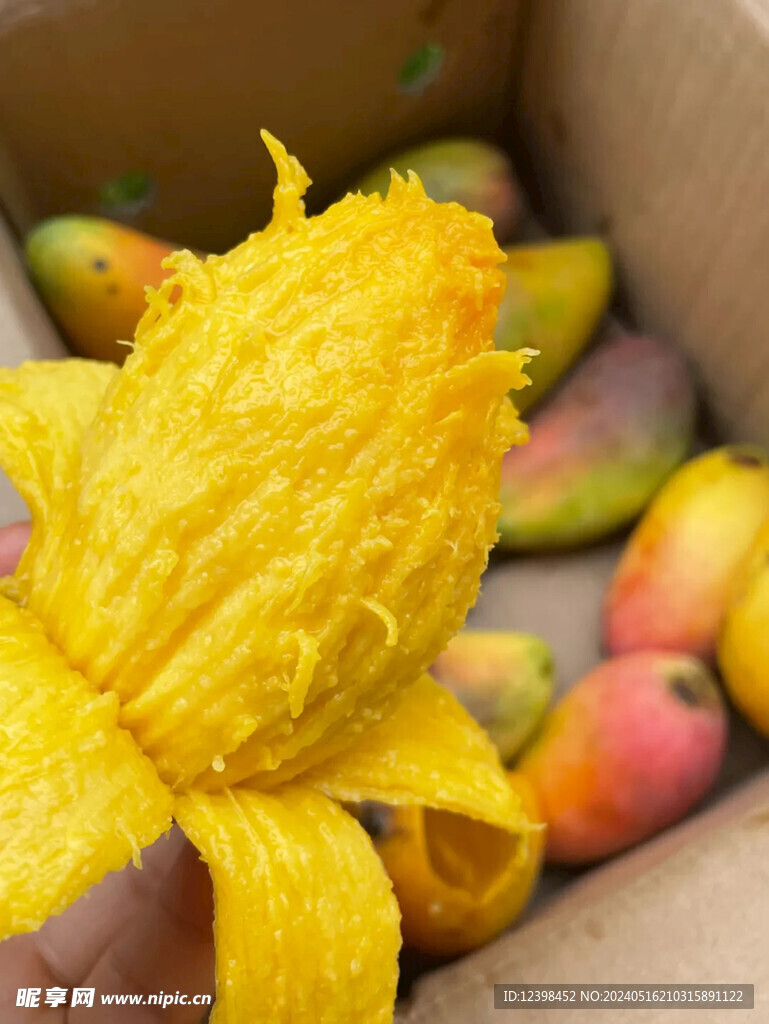 贵妃芒芒果