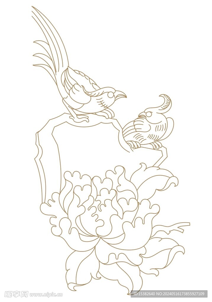 牡丹花鸟插画线条印花白描