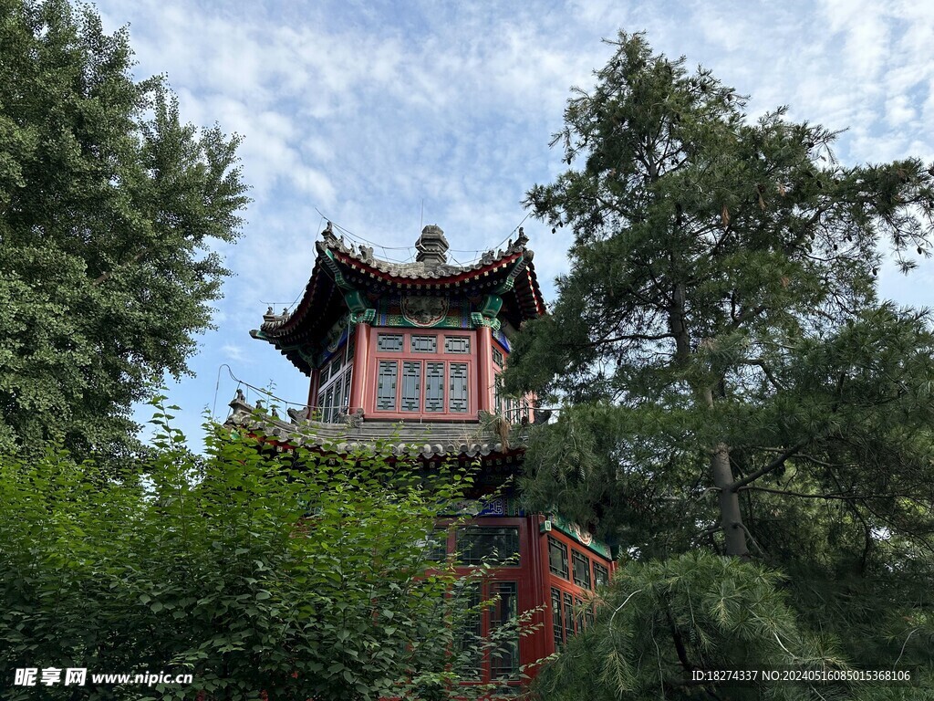 古建绿树