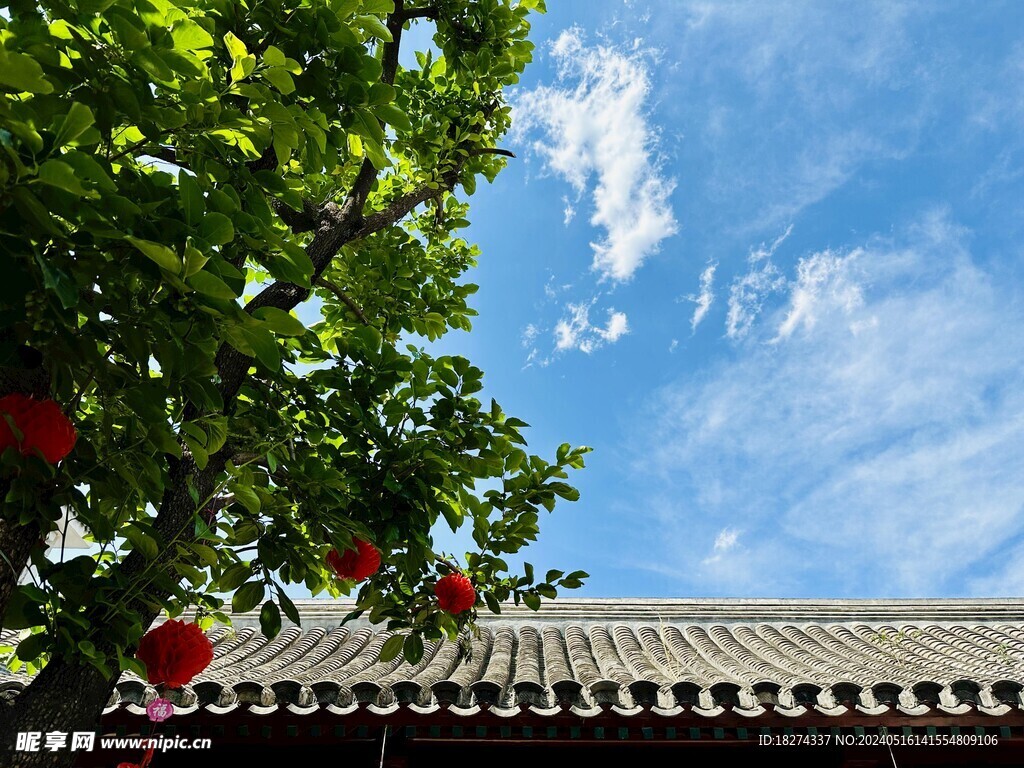 报国寺古建初夏