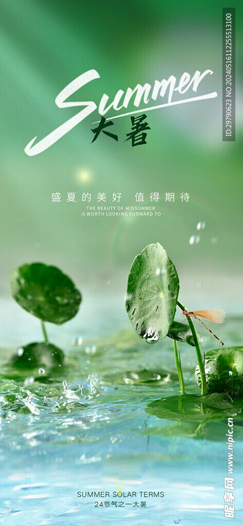 大暑海报背景