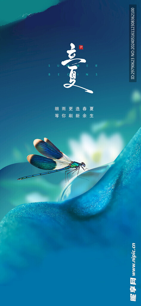 立夏海报
